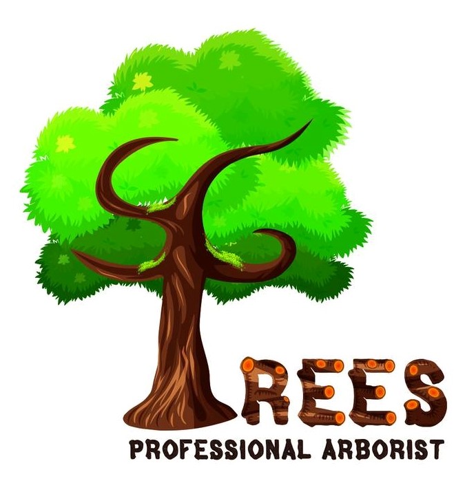 SG Trees Professional Arborist French With Shelley
