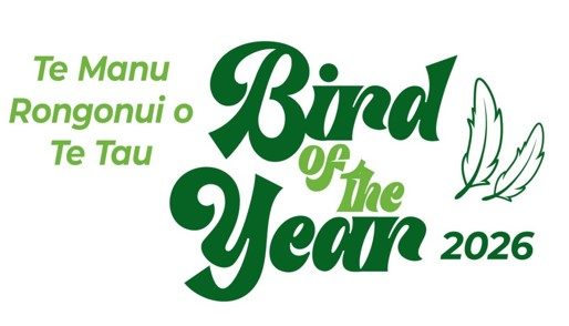 Bird NZ 2026